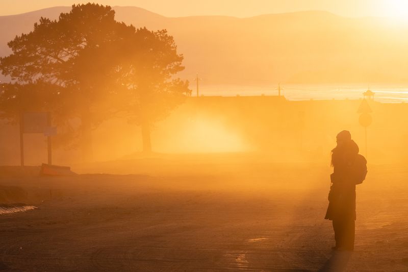 Пыльный автостопphoto preview