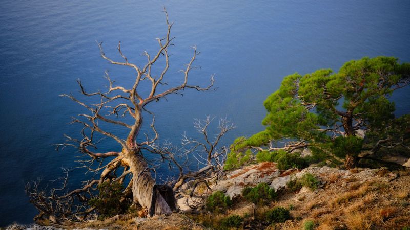 Осенний Крымphoto preview