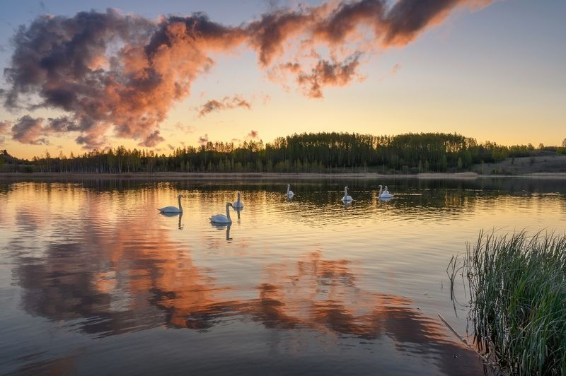 псков, пейзаж, Городищенское озероphoto preview