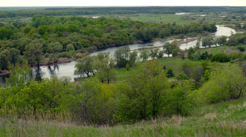 река воронеж, липецкая область, малинино,май, река Холодный майphoto preview