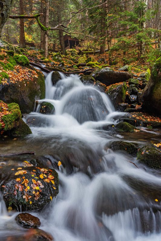 landscapes river nature autumn Autumnphoto preview