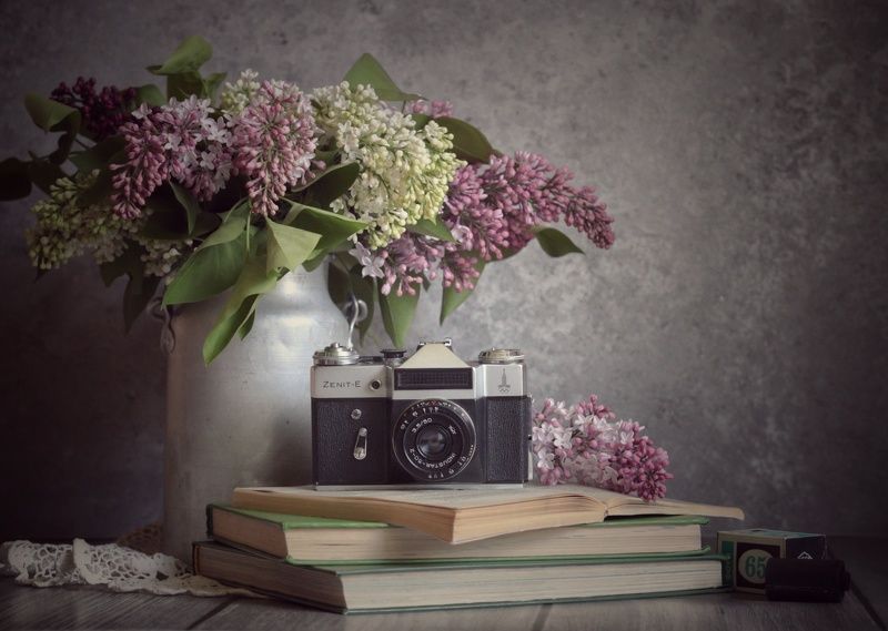 Зенит, сирень, ссср Натюрморт из прошлого фото превью