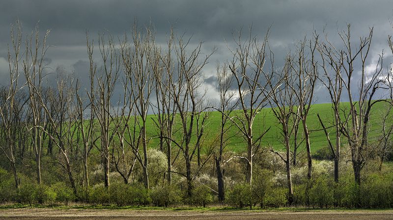 morava photo preview