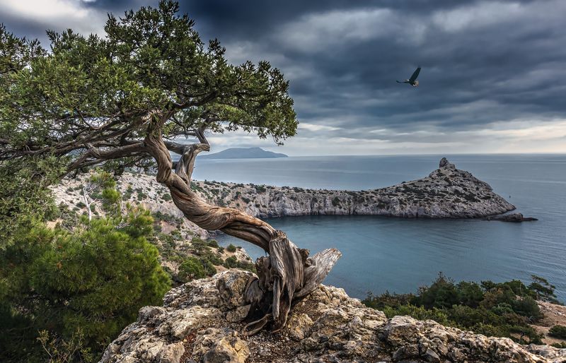 пейзаж,крым Между адом и раемphoto preview