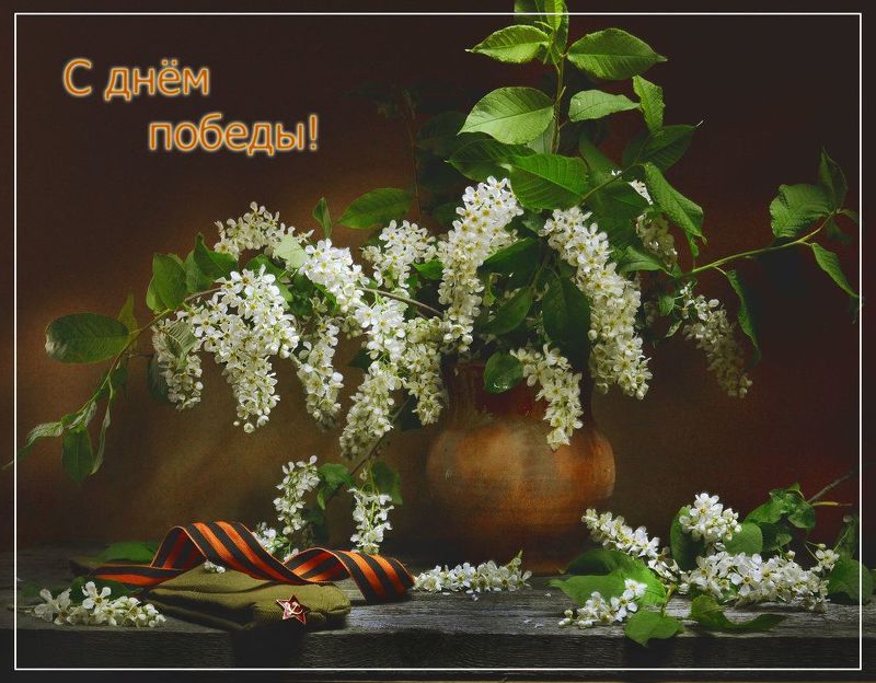 still life, натюрморт, цветы, фото натюрморт, весна, май, день победы, праздник, память, нарциссы, черёмуха Мне кажется порою, что солдаты...photo preview