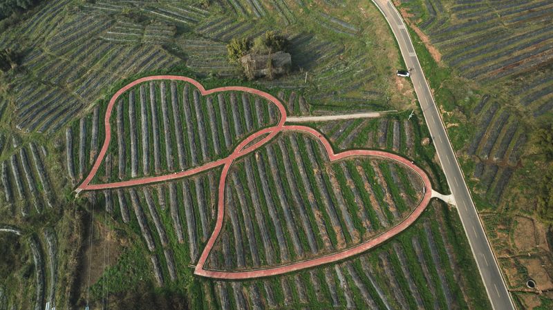 heart, love, air, drone, village, china, chengdu, field, farm Lovephoto preview
