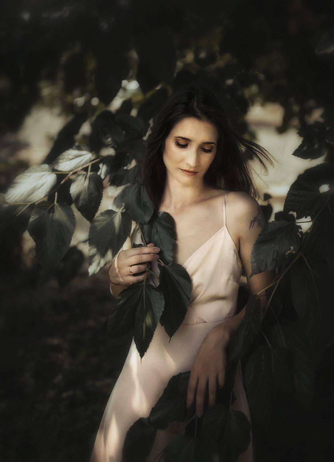 ***. Автор: Desislava Kuleshova , Desislava Kuleshova