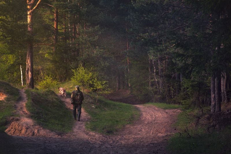 #собака #владимирскаяобласть #природароссии Прогулка с другомphoto preview