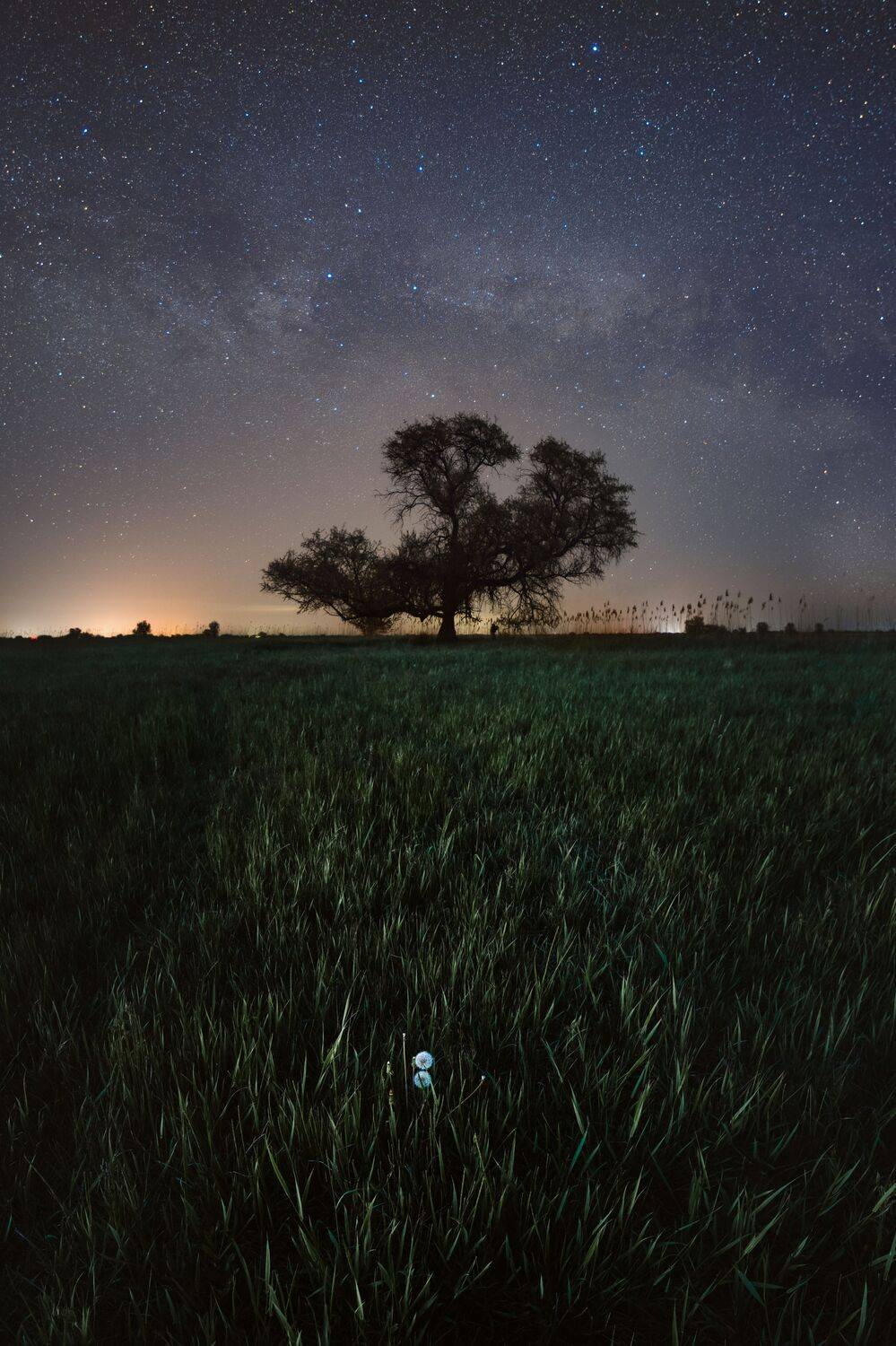 Красивое в малом. Автор: Vladislav ночь, ночной пейзаж, млечный путь, астрахань, степь, звезды, астрофотография, Vladislav