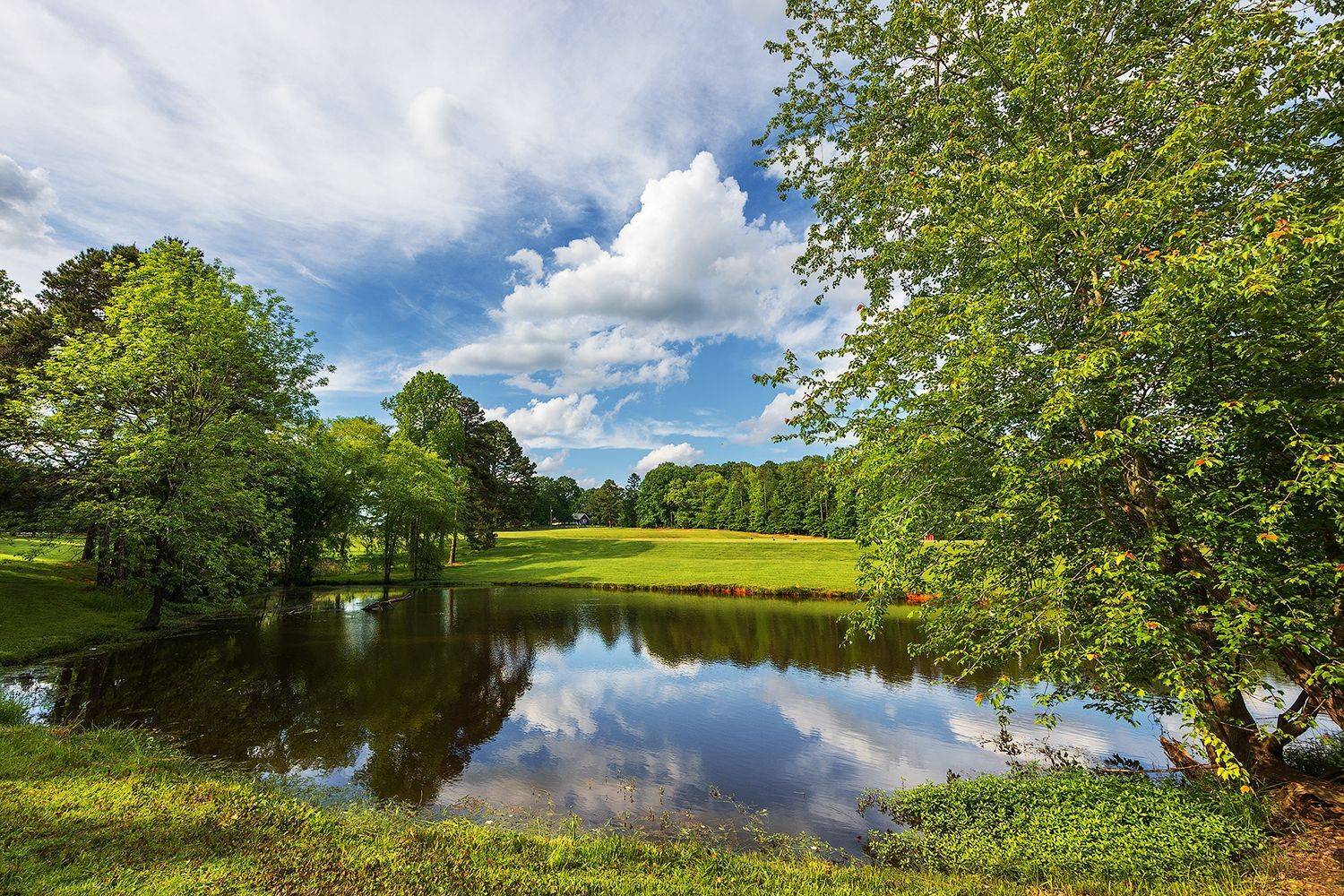 Beсеннее настроение. Автор: Леонид Дьяченко , Леонид Дьяченко