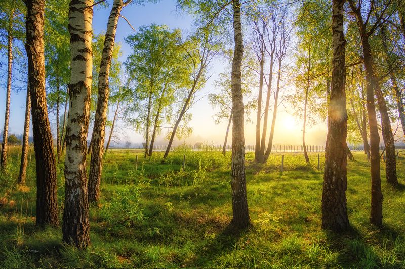 Беларусь О простомphoto preview