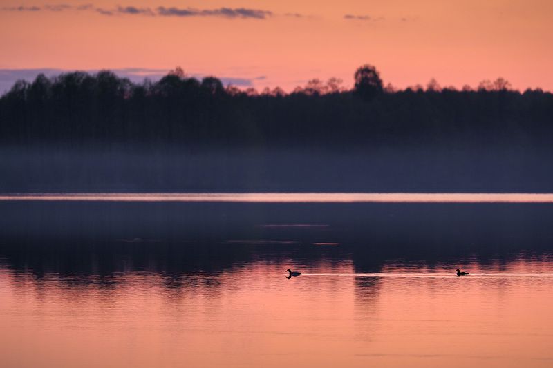Вечер на озереphoto preview