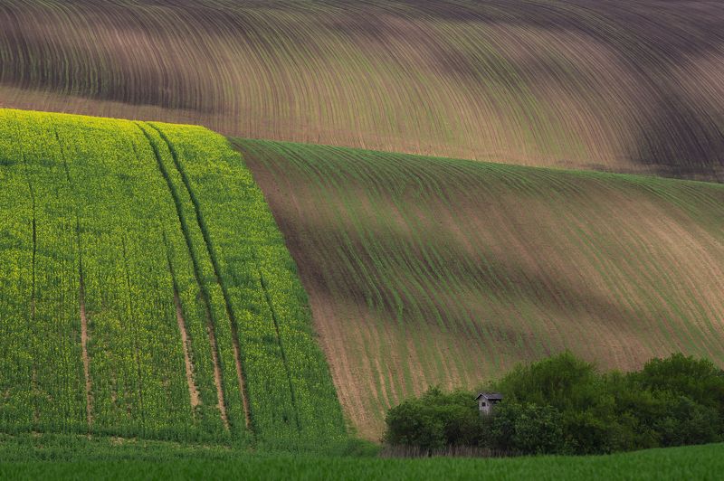 morava photo preview