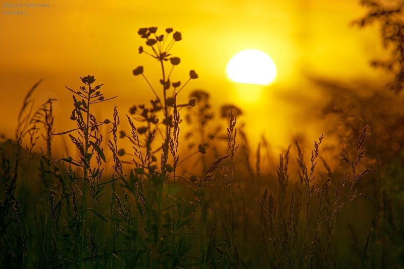 Про закат.photo preview