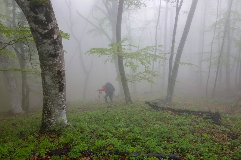 В поисках ракурсаphoto preview