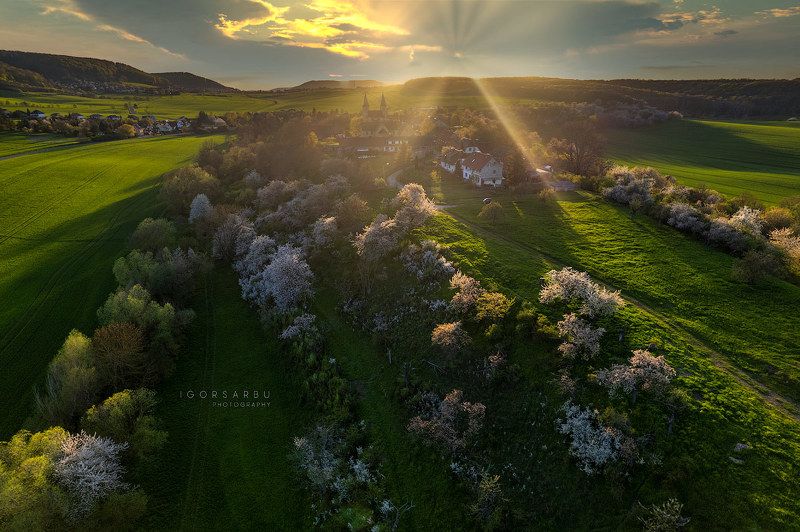 Munchenlohra IIphoto preview