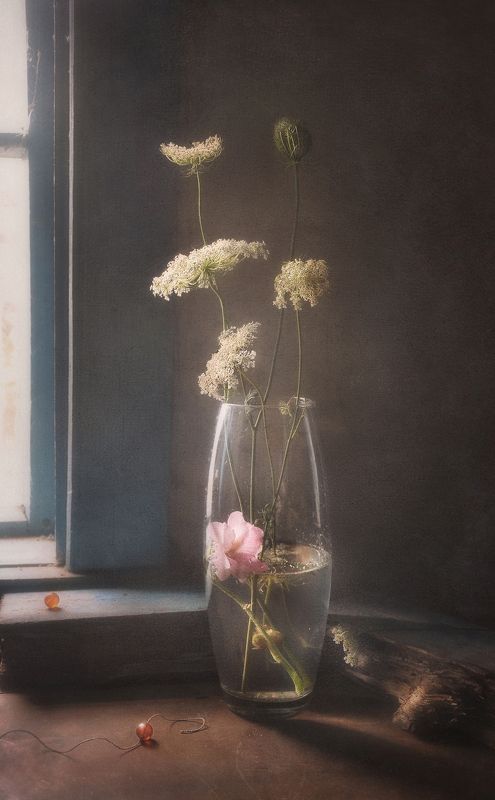 Нити-стебли грусти светлойphoto preview