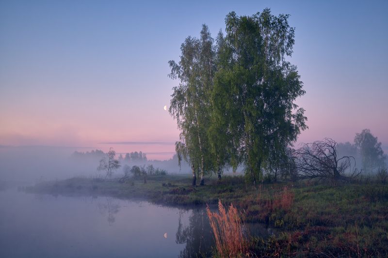 На ушко ...photo preview