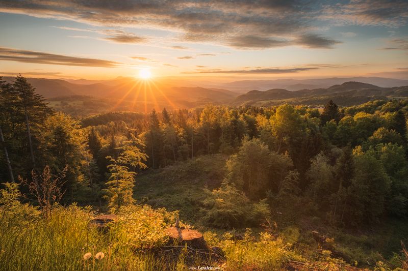 Пробуждениеphoto preview