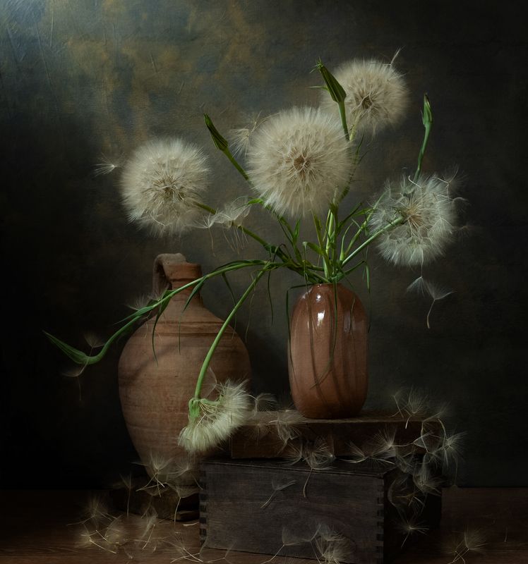 натюрморт, цветы, козлобородник Шары козлобородникаphoto preview