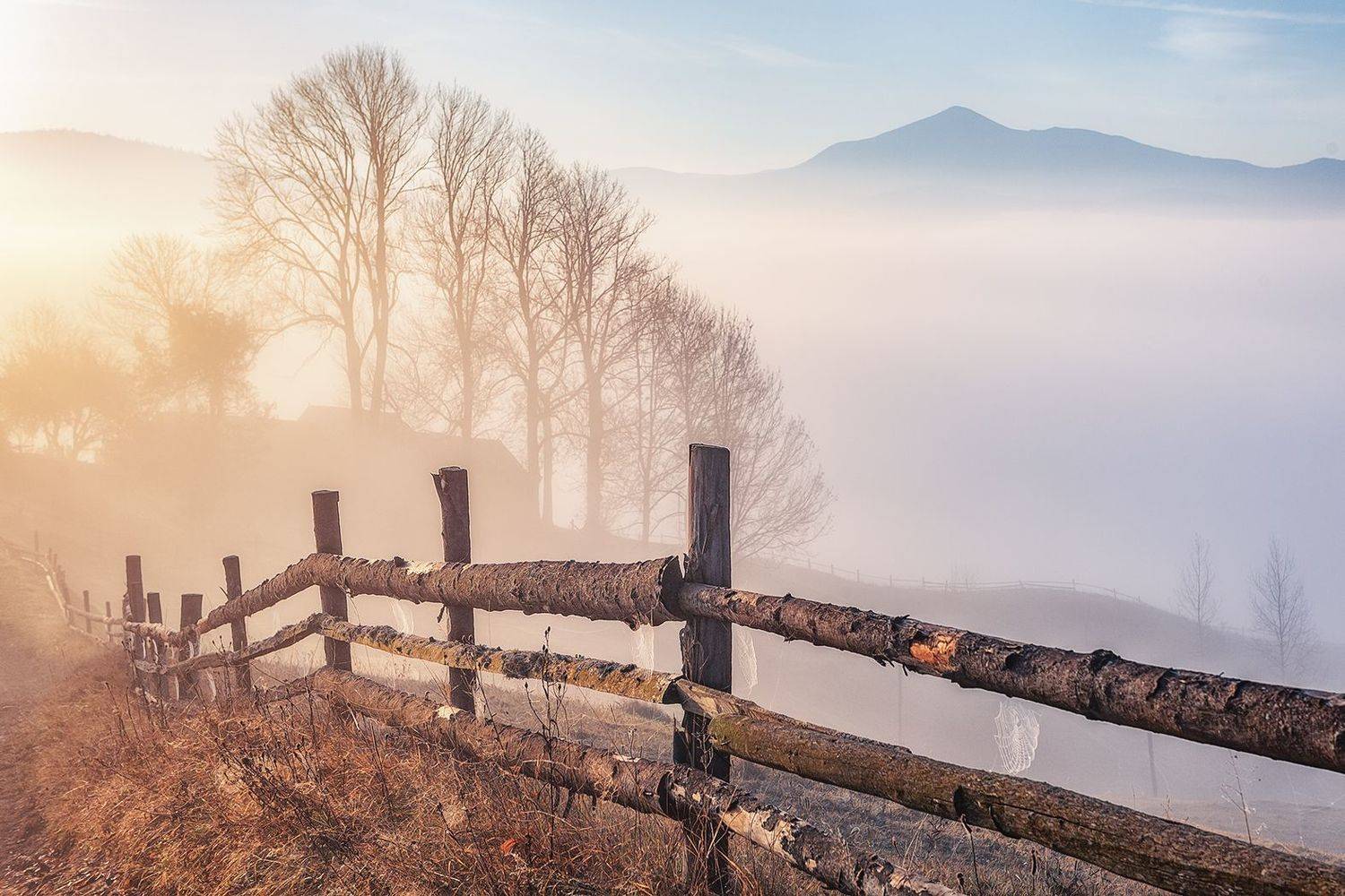 закарпатье, Владимир Липецких
