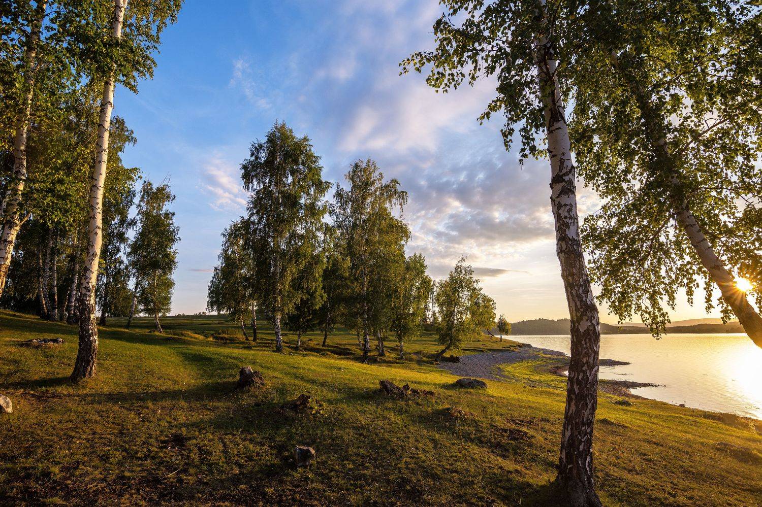 *******. Автор: Андрей Шарапов , Андрей Шарапов