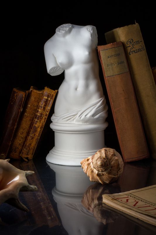 скульптура, книги, библиотека, кабинет, ретро, винтаж, морская раковина, античный, старинный. стиль, бюст. история, творчество Я мысленно вхожу в ваш кабинет...photo preview