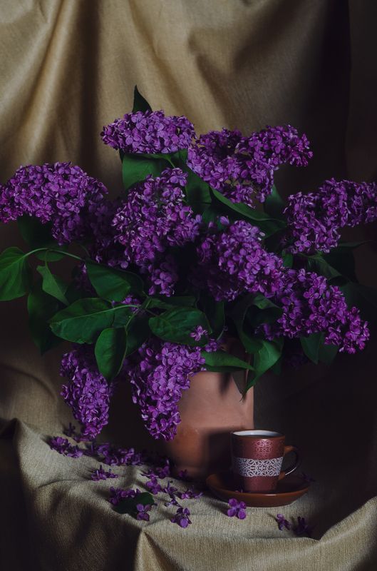 сирень, букет сирени, кофе, натюрморт с сиренью Кофе с ароматом сирени фото превью