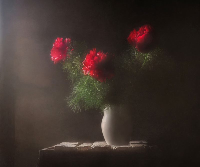 О ласковом светеphoto preview