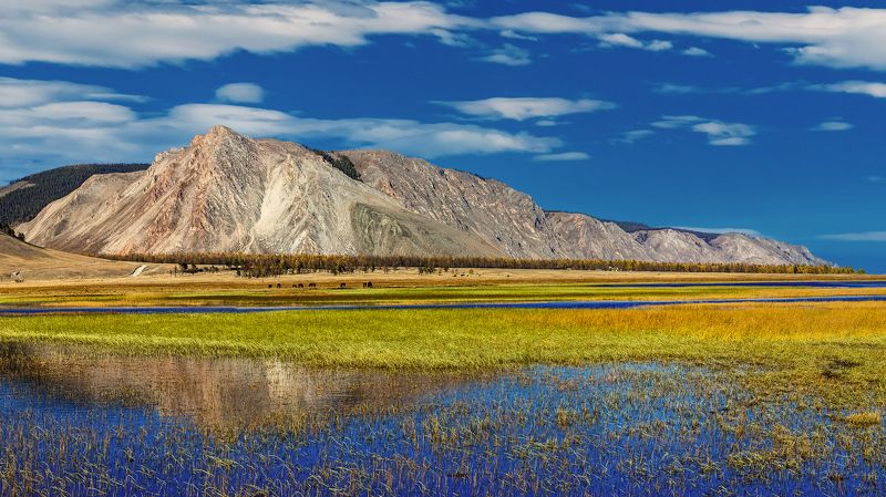 байкал, малое море, зундук Приморский Хребет на берегу озера Байкалphoto preview