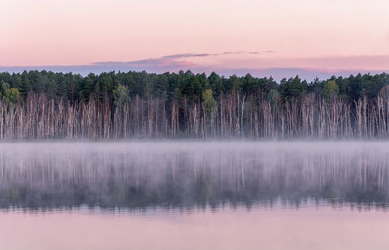 озеро, ленёво, утро, туман, бор, оз. Ленёво..photo preview