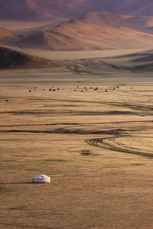 В сердце монгольских степейphoto preview