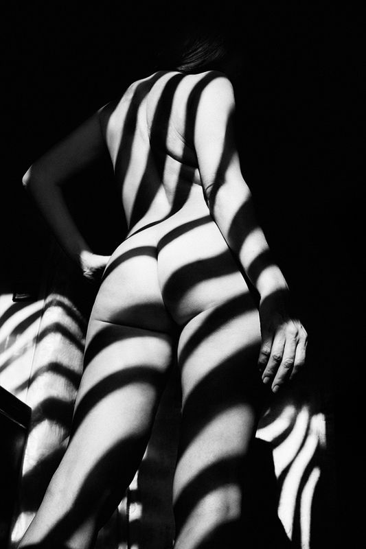 art nude, fine art nude, bw nude photo, conceptual, minimalism nude, shadows nude, art shadows, zebra shadows nude, abstract nude,, zebra *photo preview