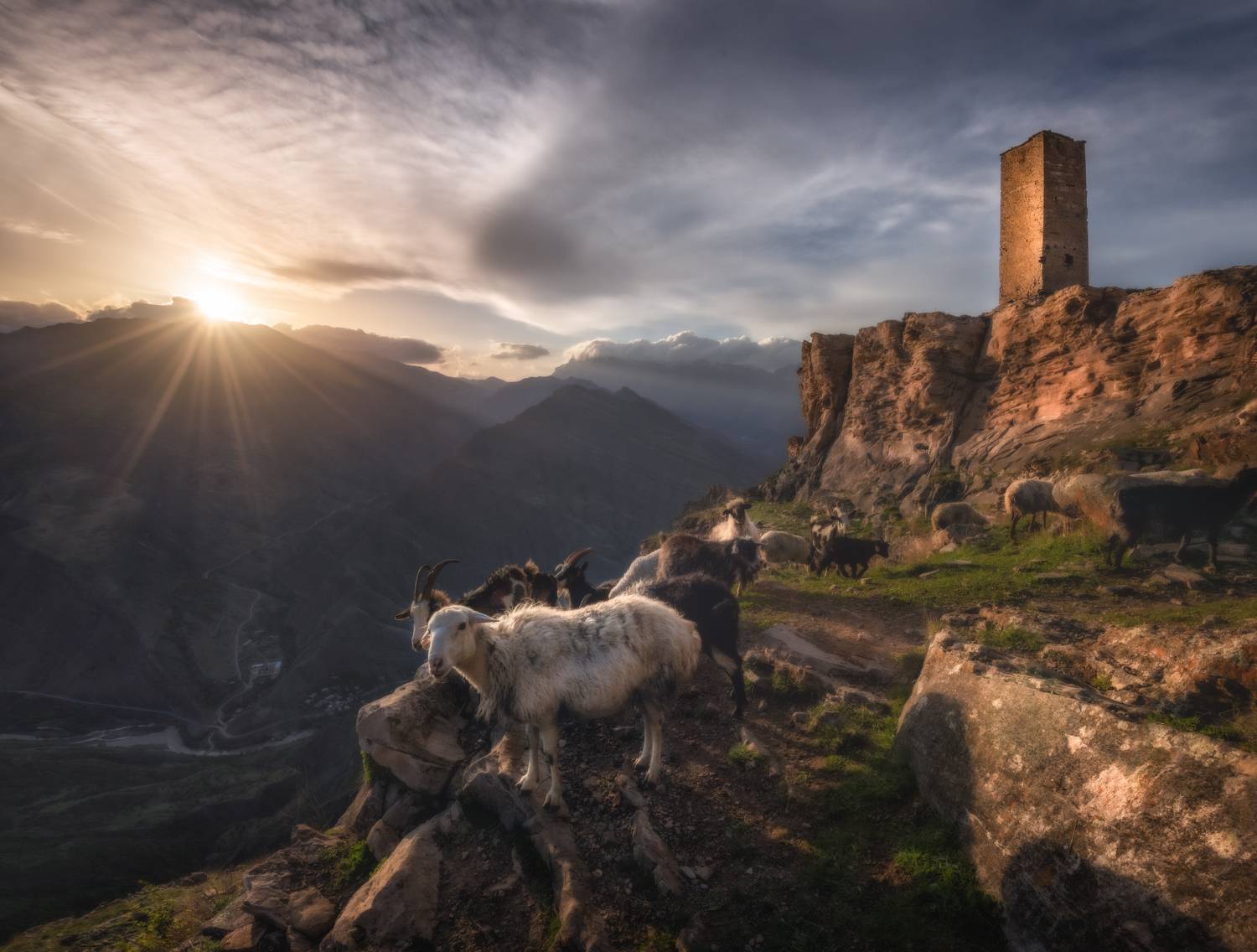 дагестан, Андрей Грачев