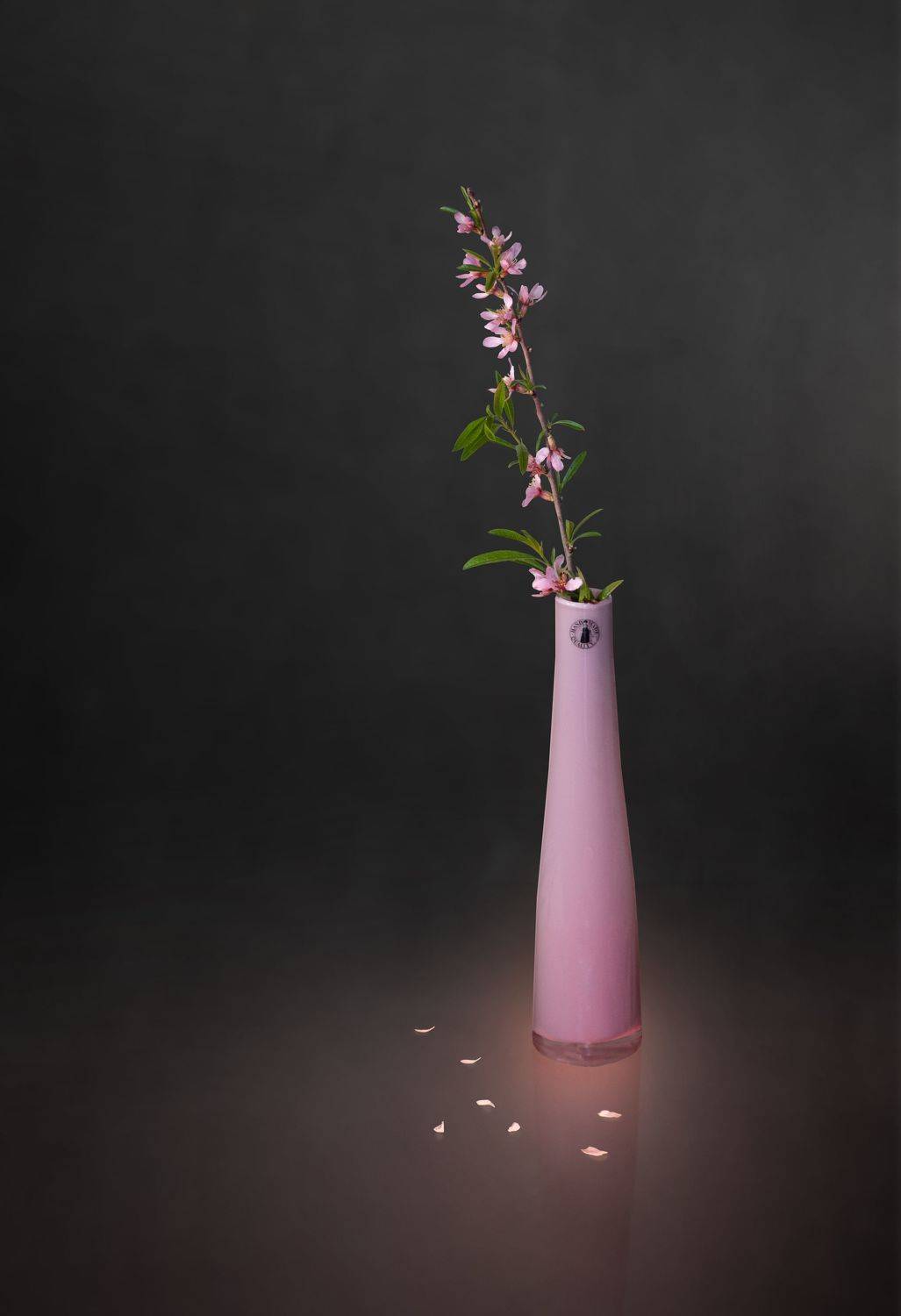 Весенний. Автор: Юрьев Борис , Юрьев Борис