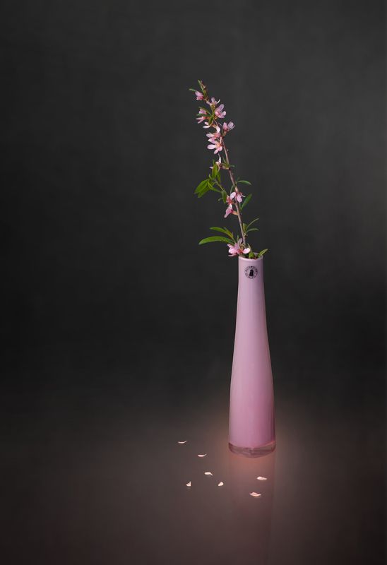 Весеннийphoto preview