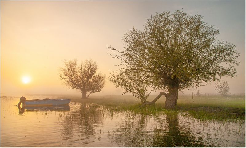 у села  камышово УТРО  ТУМАННОЕ (половодье)photo preview