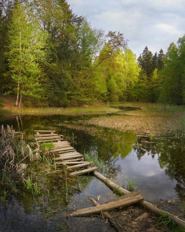 Весенний вечер в Подмосковьеphoto preview