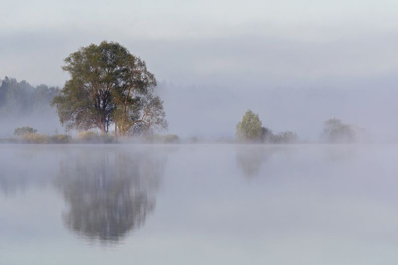 Утроphoto preview