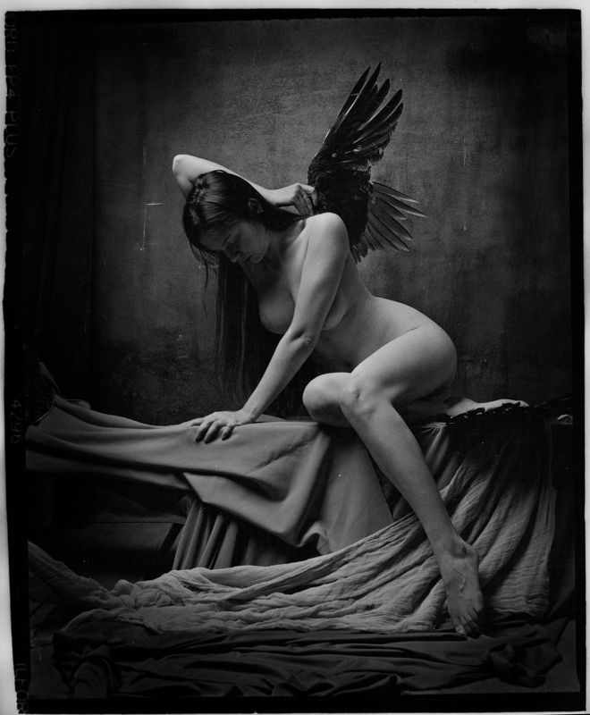 без названияphoto preview