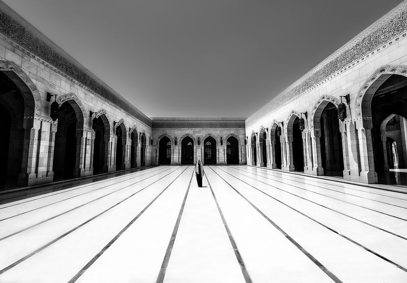 alone in the worldphoto preview