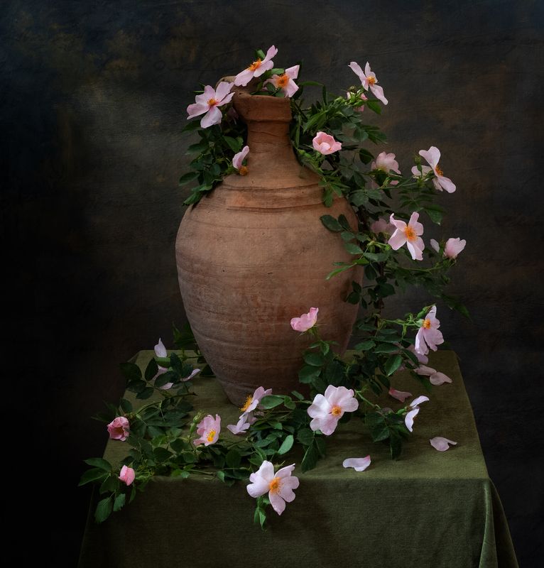 натюрморт, цветы, шиповник Ветка шиповникаphoto preview