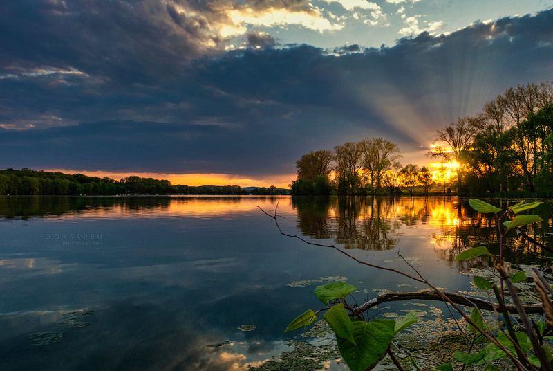 Scheidungen, Germanyphoto preview