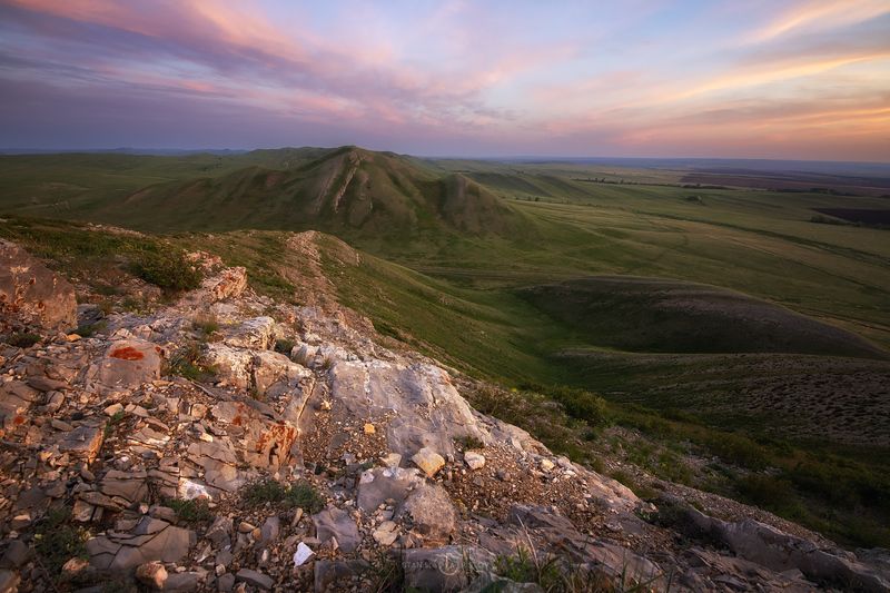 Андреевские Шишкиphoto preview