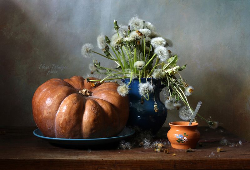 тыква, одуванчики С одуванчикамиphoto preview