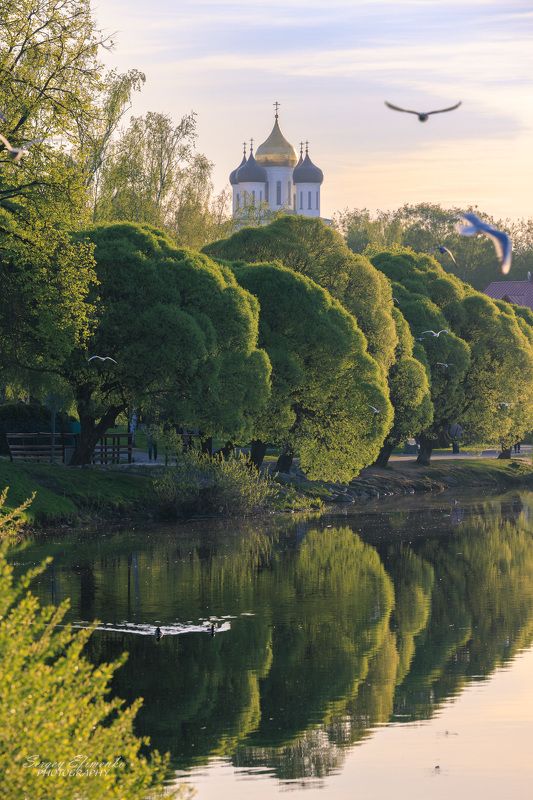 фото превью