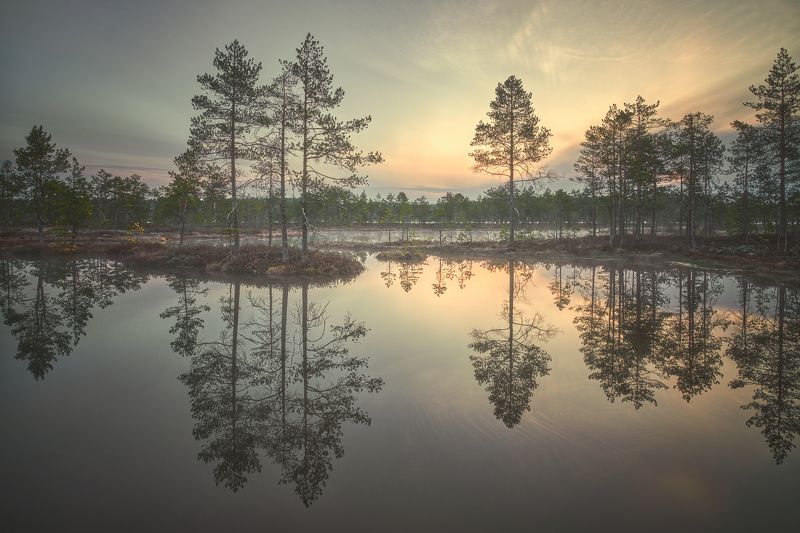 Весеннее утроphoto preview