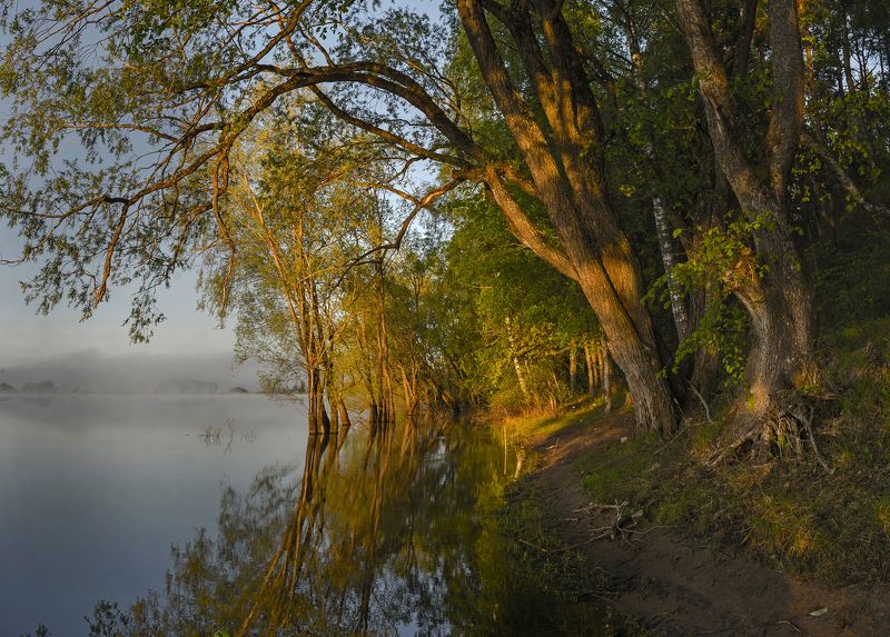 Утроphoto preview