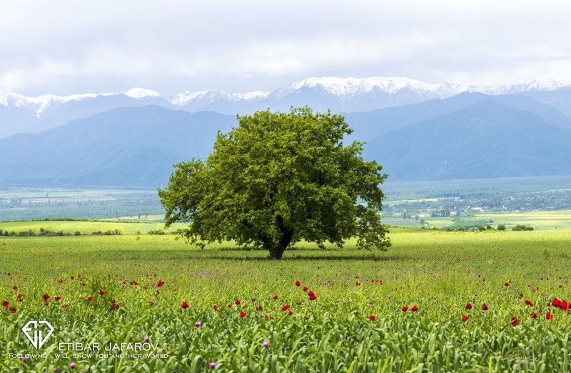 Исмаиллы (Азербайджан)photo preview