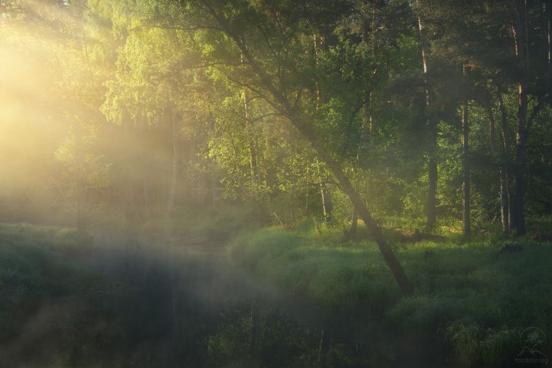 На берегах реки туманной фото превью
